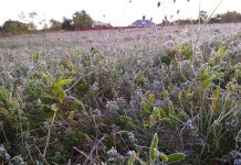 Agricultura pe înțelesul tuturor – Puțină agrometeorologie