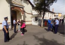 Zeci de fapte penale în școlile din județ