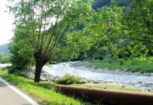 ŞUŞIŢA VERDE ESTE CURATĂ