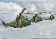 Zilele Aviației Militare, la Târgu-Jiu și Stănești. Expoziție de avioane militare și salturi cu parașuta