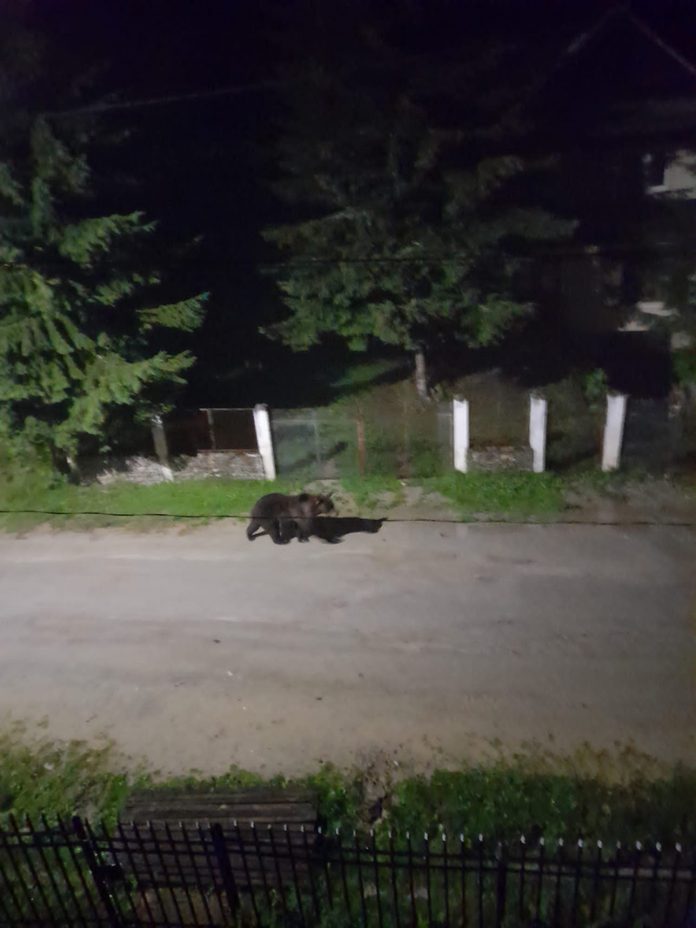 304628118_630595321759322_1875021092457917084_n