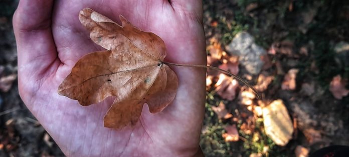 309216339_471989731634029_6869449647745120473_n