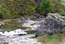 Sanctuare ale naturii – Pe urmele lui Iorgovan – (1)