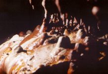 Restituiri – Peșterile în cătarea vremii