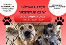 Vrei să adopți un cățel? Târg, donații și concert la mall-ul din Târgu-Jiu