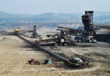 CEO: Milioane de lei pentru ghirlande și role