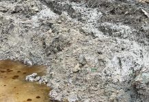 Poluare cu țiței la Jupânești