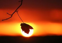 Vreme caldă, de luni. Azi și mâine, temperaturi scăzute