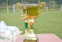 16-imile Cupei României în Gorj