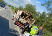 Camioane pline cu lemne, pe drumul național, oprite de Poliție!