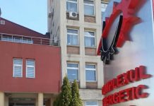 Grupurile de la Turceni și Rovinari își întrerup activitatea în decembrie