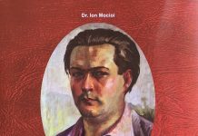 Apariție editorială: ,,Pictorul Adrian Köber. Monografie ilustrată”, autor – prof. dr. Ion Mocioi