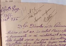 In memoriam – Eroii de la Rasovița (III)