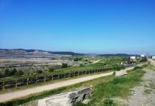 CE Oltenia: Buget de 2 milioane pentru închirierea de zeci de autovehicule