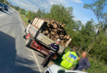 FOTO|Rovinari, Turceni: Transportatorii de lemne, verificați de Poliție. Amenzi de mii de lei