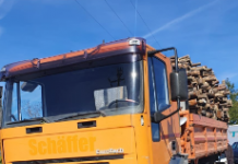 FOTO| Amenzi și confiscări de lemne