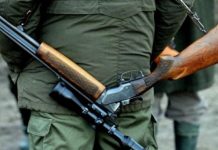 Pădurar condamnat pentru fals