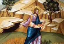 Calea, Lumina, Adevărul şi Viaţa! – Dumnezeu ne va face socoteală despre viaţa de aici, de pe pământ, care a fost fără rod, pentru ca în inima noastră să încolţească şi să dea roade sămânţa cea bună a credinţei!