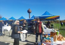 VIDEO: Expoziția de ovine de la Caransebeș, la prima ediție, un exemplu pentru Gorj