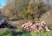 Mormane de gunoi, depozitate ilegal pe malul râului Șușiței și în zăvoiul din Bârsești