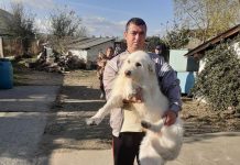 Rovinari: 24 de căței au fost adoptați într-o singură lună