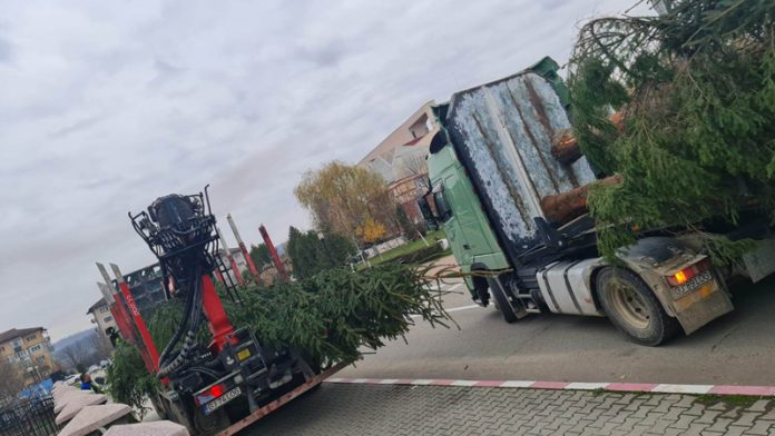 316427144_459225532949500_8109138574639223378_n