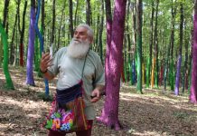 Mihai Țopescu – expoziție în capitală în perioada sărbătorilor de iarnă!