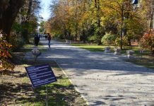 Bătaie de joc! Ministerul Culturii a alocat, ,,în regim de urgență”, 2.000 de lei, pentru restaurarea vechiului pod de peste Jiu, abandonat în bălării, și pentru Ansamblul Monumental ,,Calea Eroilor”!