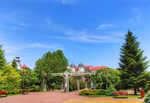 Târgu-Jiu: Licitație pentru modernizarea centrului pietonal