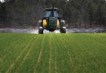 Agricultura pe înțelesul tuturor – Fertilizarea fazială a cerealelor păioase