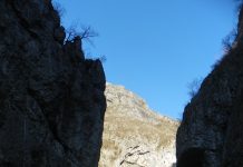 PROTECŢIA COMPLEXULUI CARSTIC SOHODOL