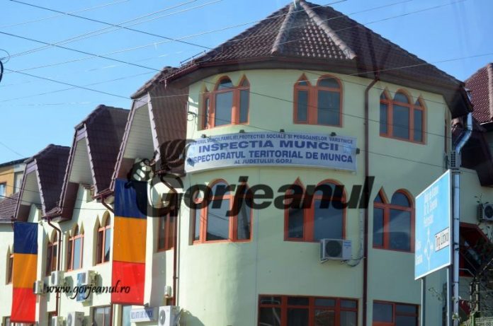 Zeci de controale ale inspectorilor de muncă în județ