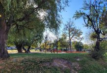 Parc nou în Debarcader