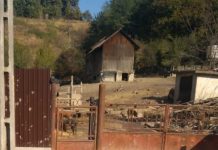 Un cunoscut afacerist din Motru pierde procesul intentat primăriei! Este obligat să-și demoleze gardul de la porcărie