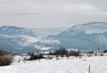 Pericolul alb – (1)