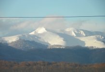 Pericolul alb – (2)