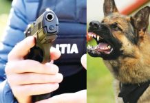 Ofițer al IPJ Gorj, în arest la domiciliu!