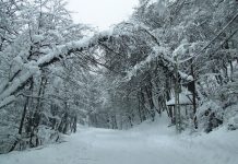 Pledoarie pentru drumeţia de iarnă