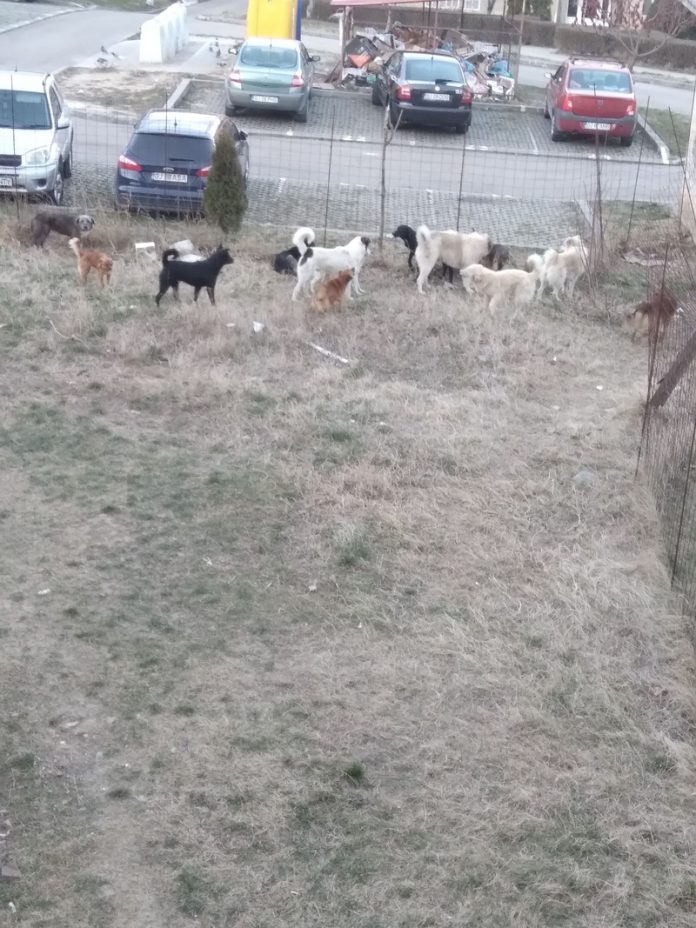 327583800_889383095517660_8591995083040567712_n