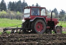 Agricultura pe înțelesul tuturor – Graficul lucrărilor agricole în luna martie
