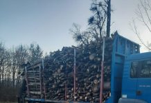 Poienari, Novaci: Lemne confiscate și 4.000 de lei amendă