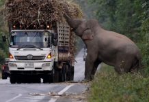 Educaţia…şi Lecţia de viaţă! – Privire analitică şi atentă asupra păcatului lăcomiei – Omul care se consideră bogat, crede că este şi nemuritor, crede că dacă are totul, din belşug, nu va mai muri!