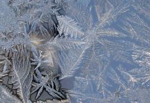 Temperaturi de -25 de grade, spre sfârșitul săptămânii