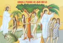 Viaţa Spirituală – Calea, Lumina, Adevărul şi Viaţa! – Dumnezeu ne-a înzestrat cu anumite calități spirituale, cu un suflet de care să ne îngrijim, fiindcă ne înnobilează și ne înfrumusețează sufletul numai valorile spirituale!