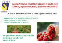 Locuri de muncă pentru gorjeni în Spania