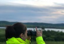 Amenzi de 2,2 milioane lei date de Garda de Mediu Gorj