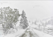 Meteorologii au emis cod galben de zăpadă și viscol