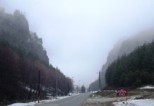 SPRE PLAIUL BĂIEŞILOR DIN NORDUL GORJULUI