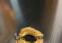 Bijuterie rară, descoperită la Prigoria. Poate fi o brățară dacică!