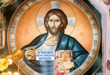 Educaţia…şi Lecţia de viaţă! – Ortodoxia salvează România – Despre cosubstanţialitatea dintre Biserica Ortodoxă şi Naţiunea Română!